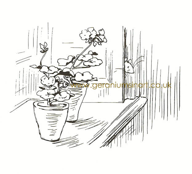 Mrs Helen Beatrix Heelis née Potter (1866 – 1943), Miss Beatrix Potter, 'Window sill at Hill Top with Geranium and Mouse' (Ink on Paper).