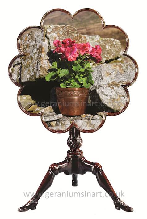 Robin Oliver. Table Landscape, 'Cumberland Childhood' (Pelargonium) in an arts & crafts pot (North Pennine Hills, Cumberland, (2025).