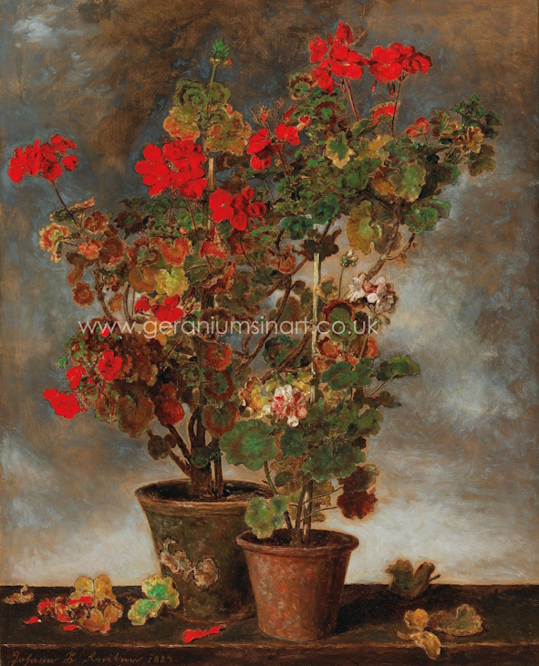 'Geraniums' (1884) by Mr Johann Baptist Reiter (1813 - 1890) Oil paints on canvas. Height: 78.5 cm, Width: 63 cm. (Private Collection).